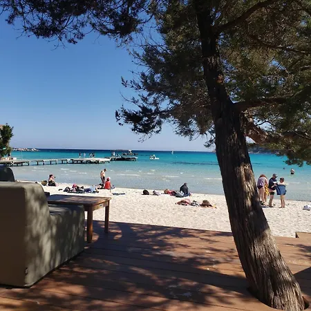 Petit Nid Au Lavandou