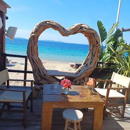 Petit Nid Au Lavandou Apartment