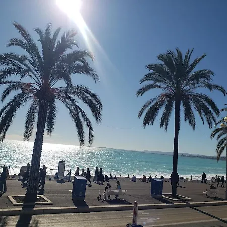 Petit Nid Au Lavandou Le Lavandou