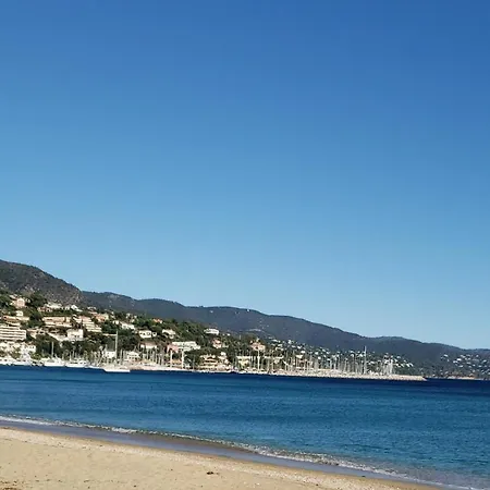 Apartment Petit Nid Au Lavandou *